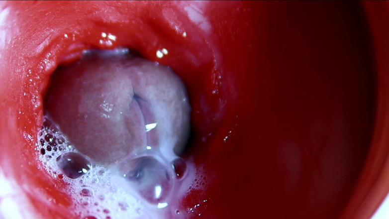 SEXY_GUYBEST: Muito perto enormes fluxos de esperma em um buraco doce...