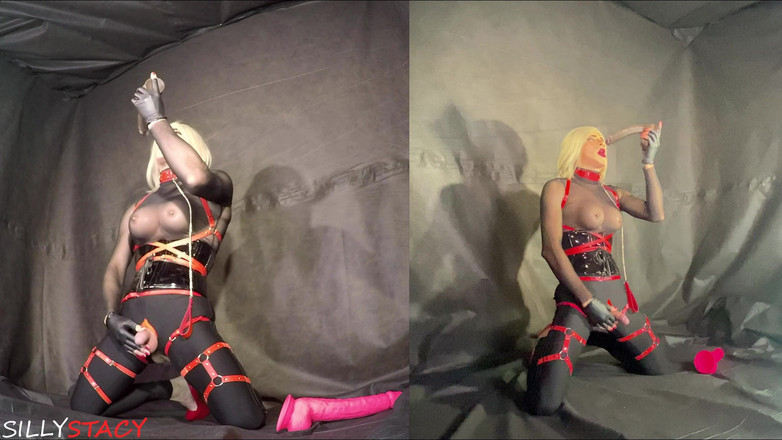 sillystacy: Tàu Sissy