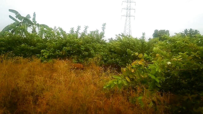 Priyanka314: Tía con chico motor pumb - habitación en sexo