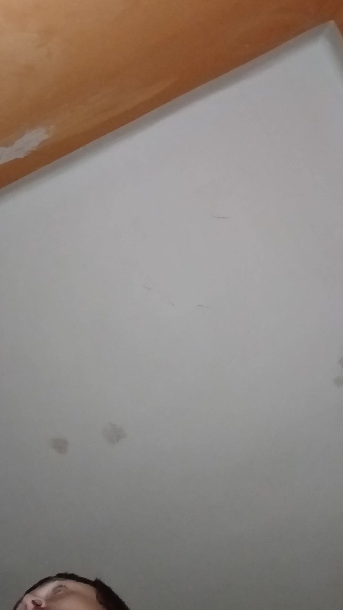 frapla: Amatoare cu păpuși sexuale