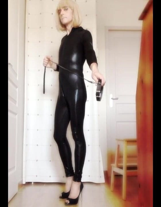 Faustine: Crossdresser Faustine Vinyl kucing dengan rantai.