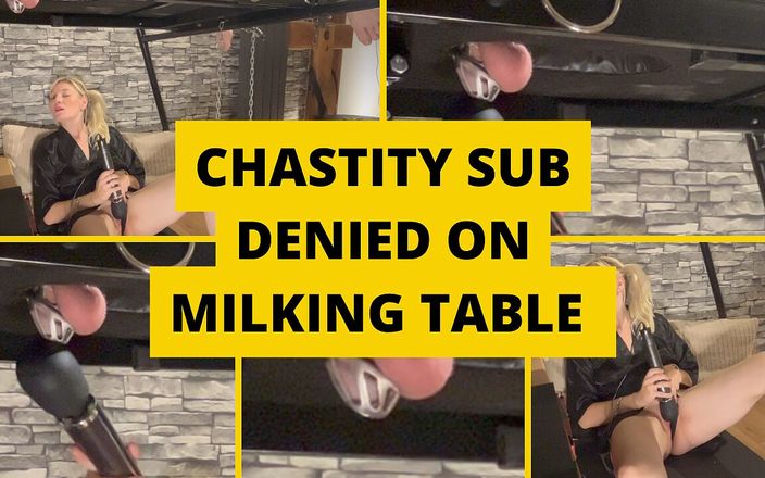 Mistress BJQueen: Cudnost sub denied na dojícím stole