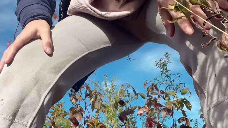 sweethanajapanese: Hana, Petite Nana Au Corps Parfait