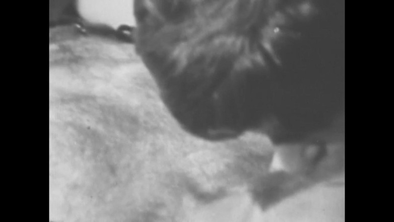 Vintage Usa: Pussies Berbulu Wanita Sensual