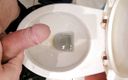 LuizaSlave: Peeing and cuming in the toilet