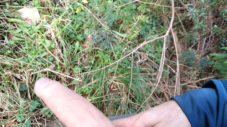 Elvissc: The Horny Stepfather Went on a Hike, When He Took...