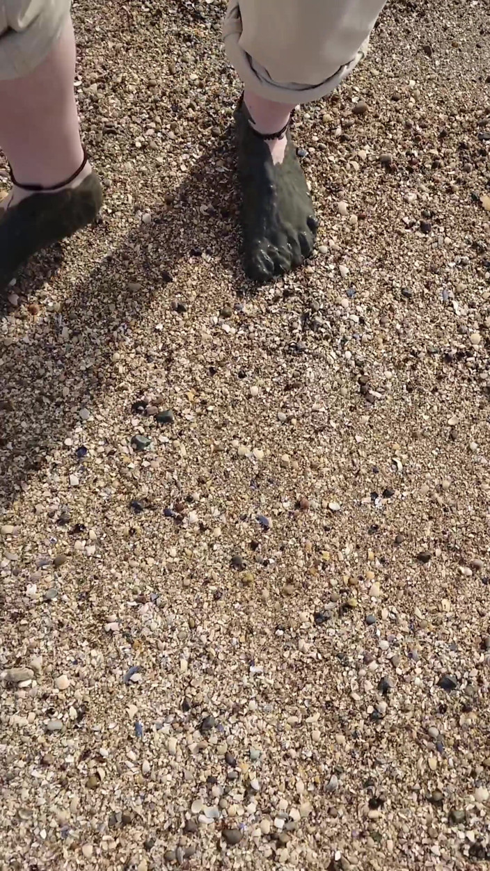 Footfetish: Short Test in the Mudflats on the Beach of Horumersiel