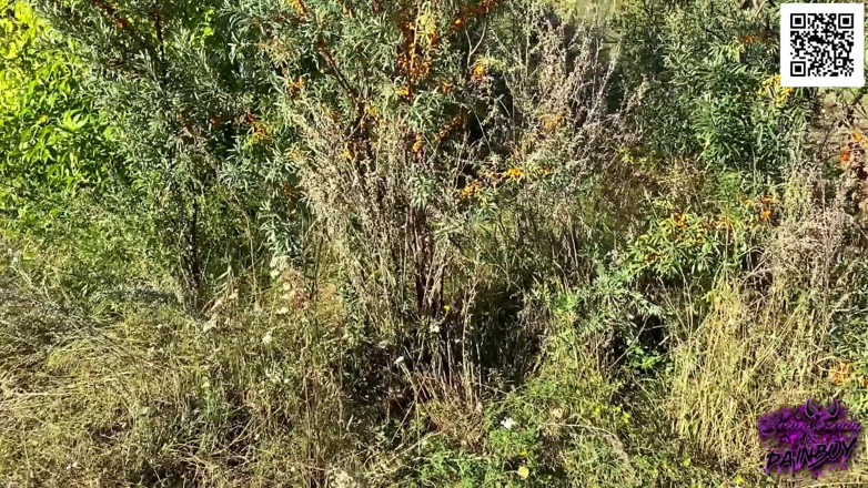 AnnyCandyPainboy: Girlfriend has prepared a surprise - outdoor sucking