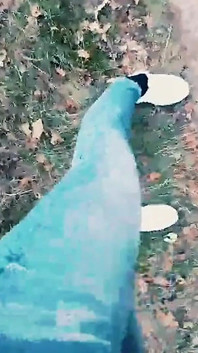 Slutboyben Cam4 Sexy Pornstar Exhibitionist Horny Exposing Big Slut Cock at Cruising Area Am Stern Berlin A115