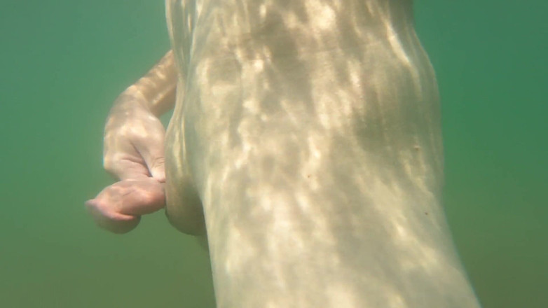 Cool Body: Ejaculez doar pentru plăcerea de a te simți liber, goală...