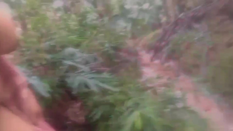 Citra: Stepmother Plays Tarzan in the Jungle Piss