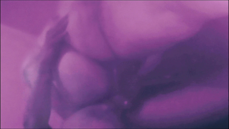 Lily & Theo: 狂欢节是罪恶的时刻，在你的快乐洞窟里满足自己，用你的灵魂湿透了地面