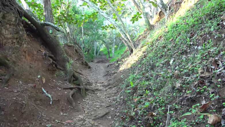 ATK Fans (Girlfriends): Virtual vacation in kauai with lily adams part 3