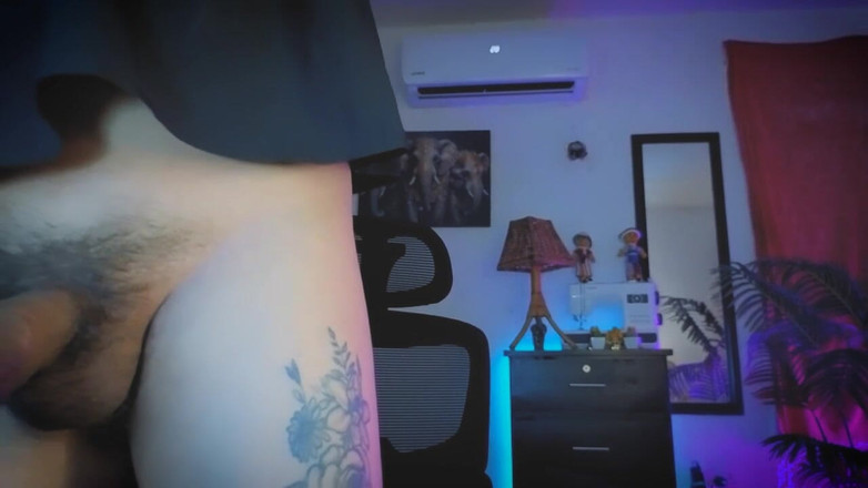 Kimberly Polizzi: 스트림 4 12월 2025 김