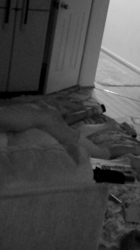 Wake up Ms. Cheryl Pt. 2