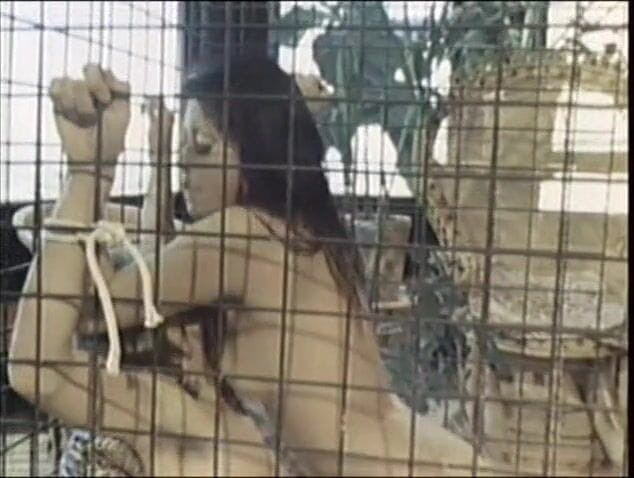 Bisco Birchwood Productions: Bela menina asiática fode escravo na gaiola e depois é punida!
