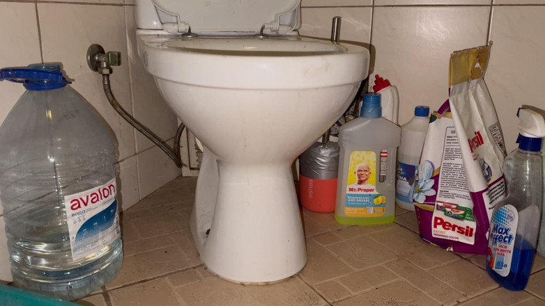 Elena917: Licking Dirty Floor and Toilet, Flashing Head in It
