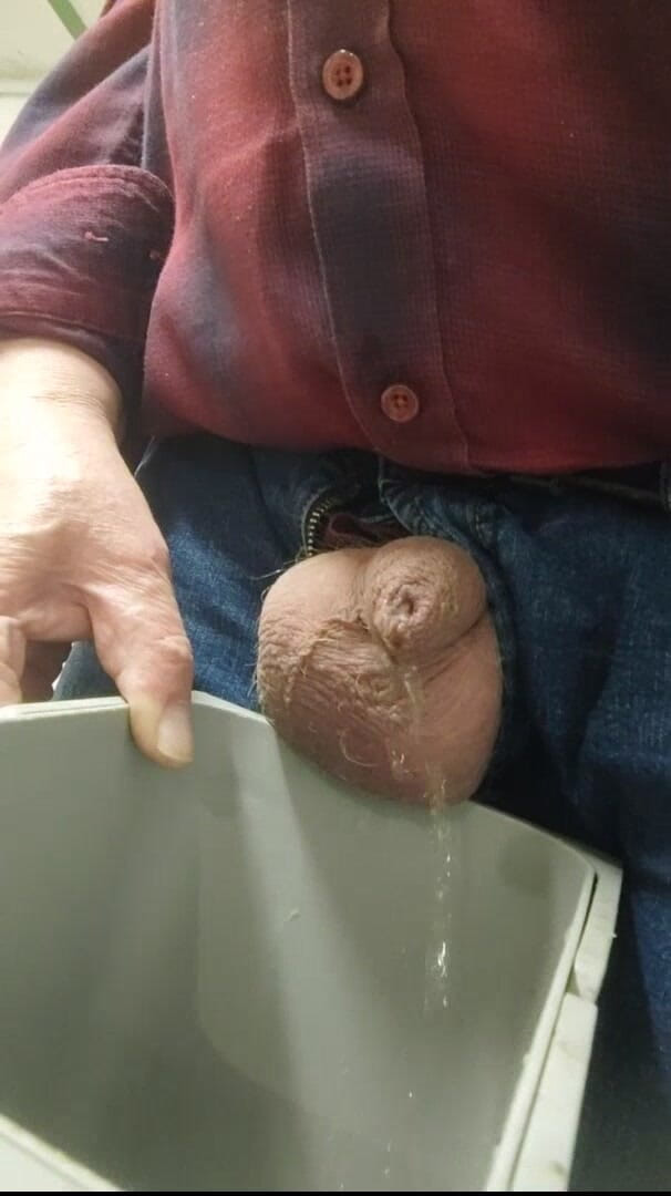 Karlchengeil: 到处撒尿