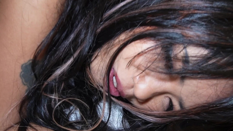 Arda Fennec: Prada bị ngựa đực Pháp bắt mạnh