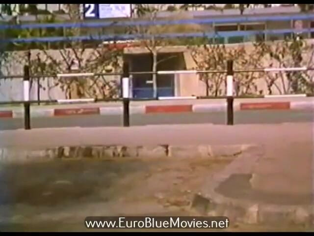 BluePlayer: 제출 교육 (1985)