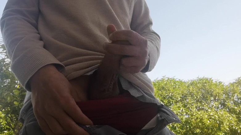 Rafael Torreano: Pancut di luar di taman
