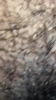 Siamo andati ad incontrarmi alle 4 del mattino e non ho potuto fare il video correttamente di fretta a causa della paura