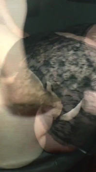 Chubby German woman with short hair and saggy tits fucks in nylons