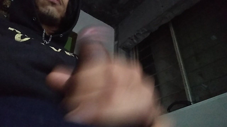 AlexAlejandro13: Доброго ранку, друзі-фаперо