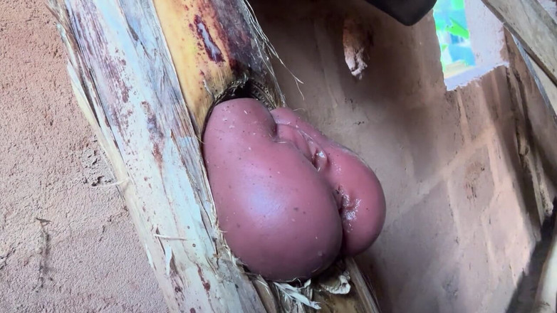 Bangcum8: Die gefangenen finden einen harten weg zum sex