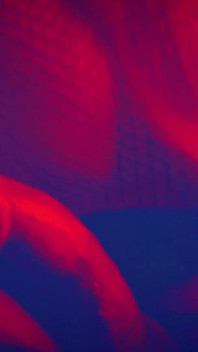 Lucky Gurl Sophia Rose - Red Light Special Amazing POV Blowjob