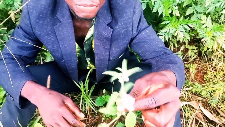 Judith xxx: In New Love