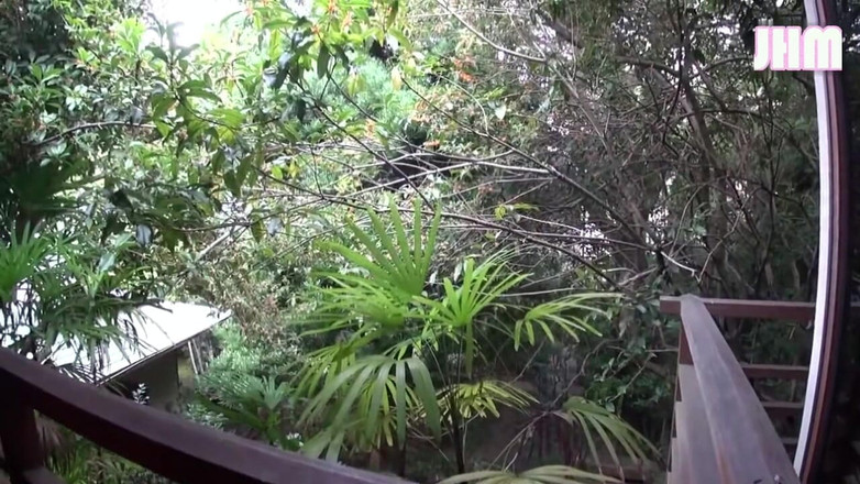 Japanese Hentai Matings: Affare di resort - Arisa, 41 -3