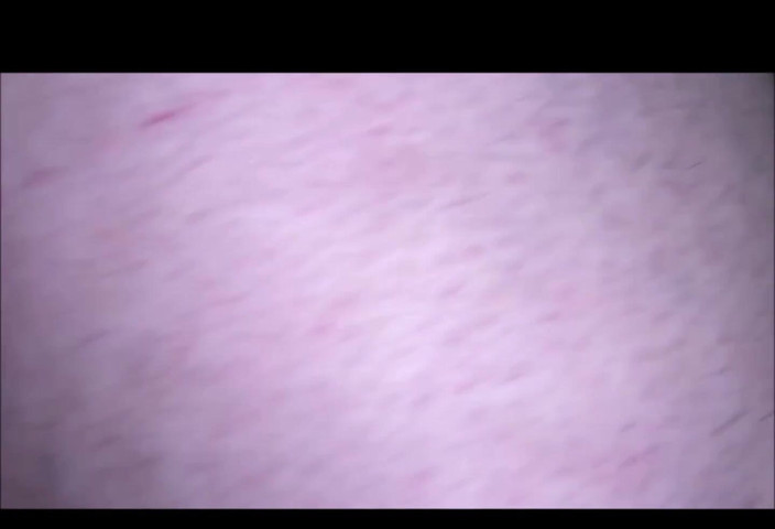 Moobdood: Dan selamat tahun baru semua orang!