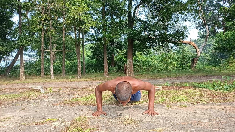 LinearOrnament35: 100 Push up challenge live purup