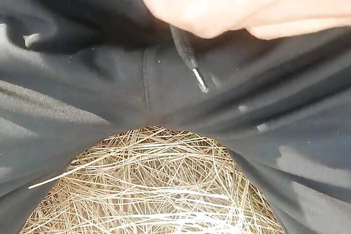 Gangbang straight: Oh, pequeño pene pis cumshort en selva