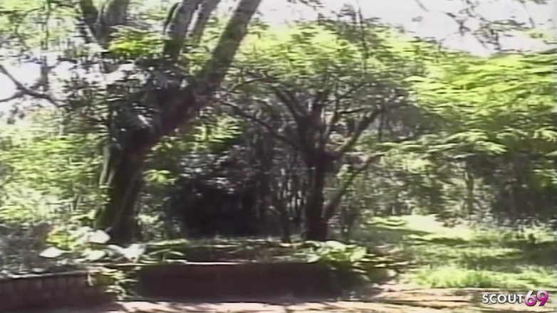 Shemale TS Collection: ラテン系巨乳ニューハーフが屋外3Pで太いチンポにアナル犯される