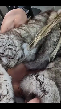 My New Fur Fetish Scene Ruined My Furs with My Own Juice Full Video in Dm
