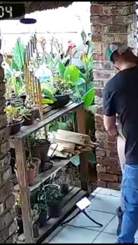 Kamera zachytila, jak moje žena šuká mé dva nejlepší kamarády, když jsem v práci