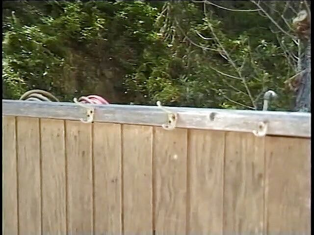 Outdoor Fucktivities: Cur curvă matură drăguță futută și umplută de spermă pe față