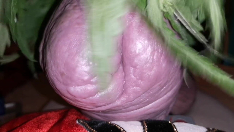 Monster_Meat_: Hardcore nettles play