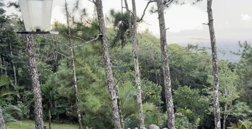 Leyne Rodriguez: Een orgasme hebben met het uitzicht