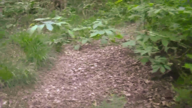 BELLOeBIOTTO: Belle et longue éjaculation, torse nu, dans une forêt publique