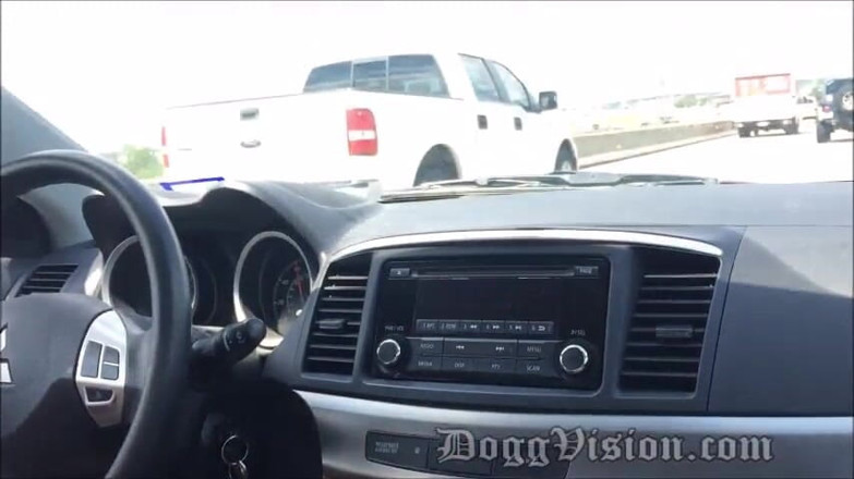 DoggVision: Avventure sega in autostrada