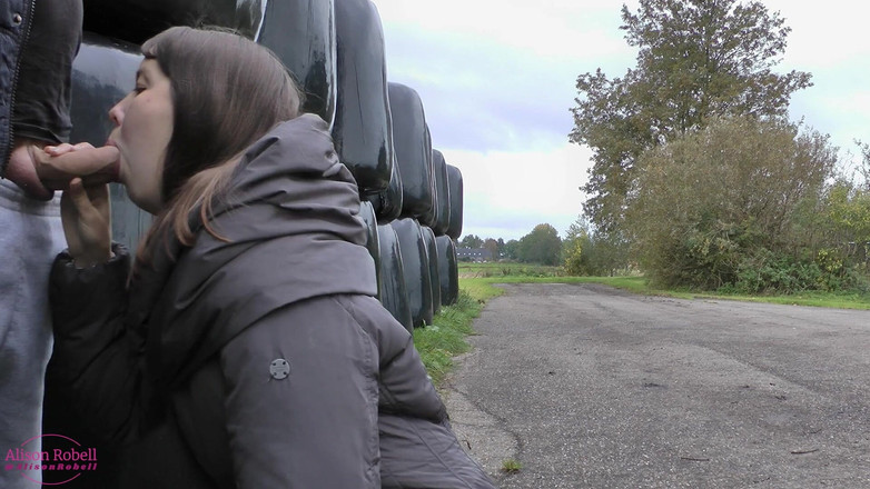 Alison Robell: Dalla vecchia scatola