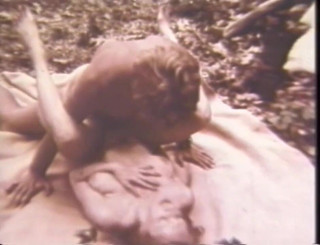 Vintage Usa: Cult sex from the past vol.11