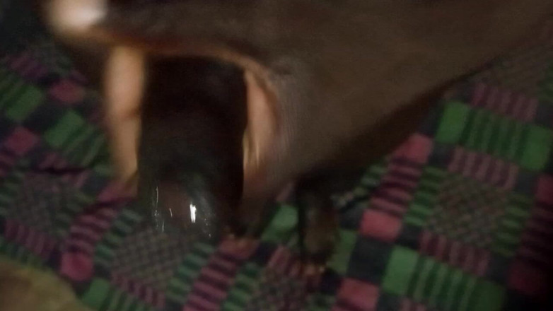 Judith xxx: Un momento adorabile