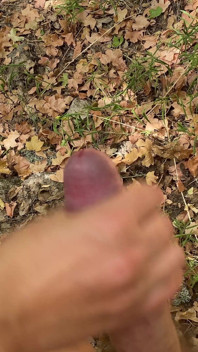 Cumshot in the Forest 4K
