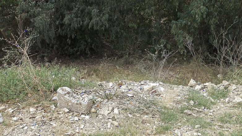 Stepmom Susan: フランスの農夫は不法侵入を捕まえました、私は問題を避けるために彼に私をファックさせました