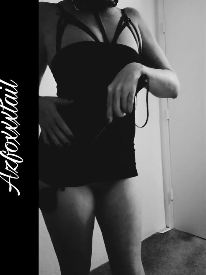 AzFoxxxTailPhelicia: Whip1_22-03-06