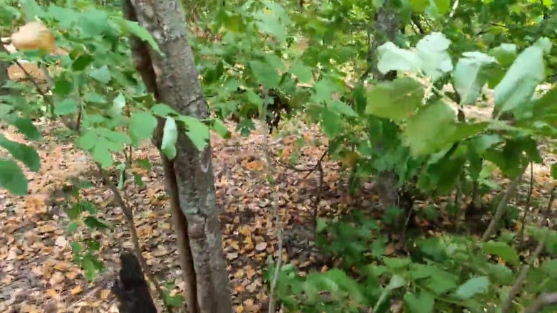 DirtyLubov: Outdoor Anal Sex with a Hot Brunette